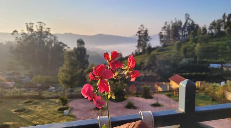 Orchard Valley View Ooty Buitenkant foto
